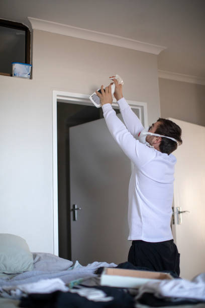 Best Basement Mold Removal  in Flagstaff, AZ