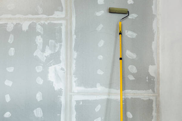 Best Water Damage & Mold Remediation  in Flagstaff, AZ