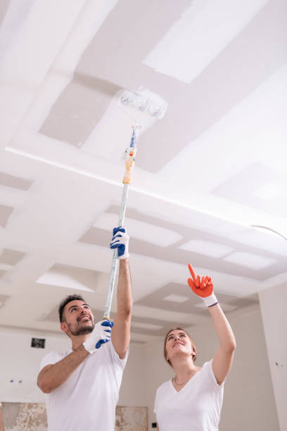 Best HVAC Mold Inspection and Cleaning  in Flagstaff, AZ